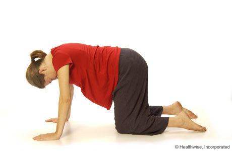 A woman kneeling on all fours (on her hands and knees)