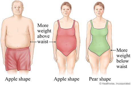 Apple-shaped and pear-shaped body fat distribution