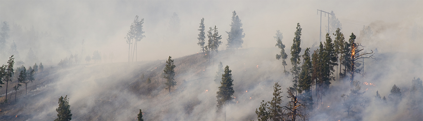 Wildfires and Your Health