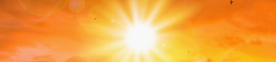 Your Health This Summer
