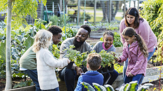 Adults with kids in vegetable garden.
