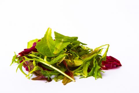 a small mixed greens salad