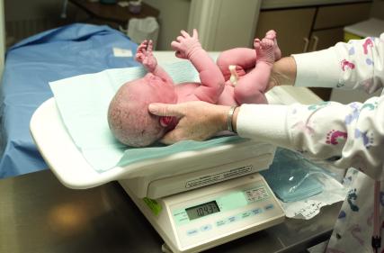 newborn baby getting weighed