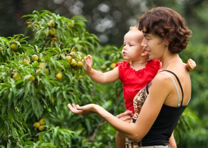 mom holding baby up to see an orange tree
