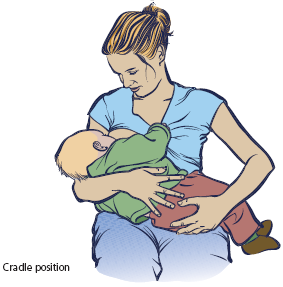 cradle position