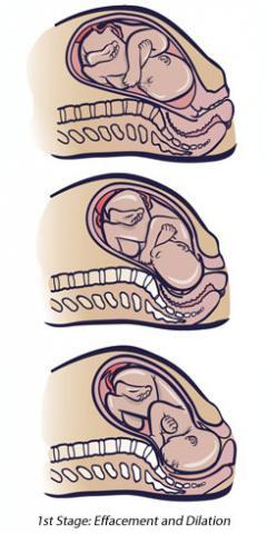 First Stage Labour