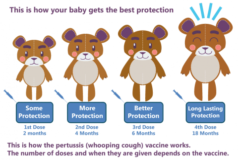 Here is how your baby gets best protection