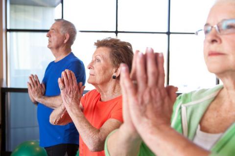 senior adults in a yoga class