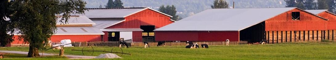 Abbotsford Rural Scene 